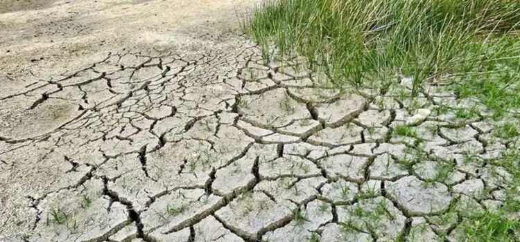 Alerta por sequía: aumentó a 89 % la superficie de México afectada por la falta de lluvia