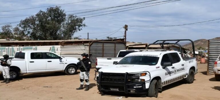 Recuperan 20 vehículos con reporte de robo en Ensenada