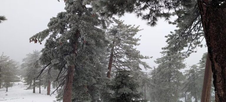 Reportan nieve en sierras de Ensenada