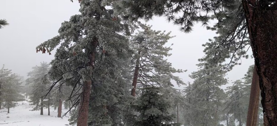 Reportan nieve en sierras de Ensenada