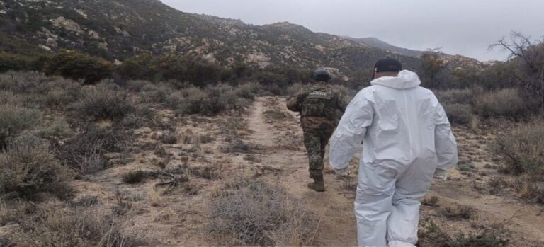 Concluye desmantelamiento de laboratorio de drogas en Ensenada