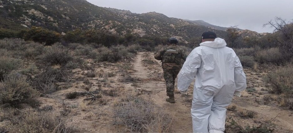 Concluye desmantelamiento de laboratorio de drogas en Ensenada