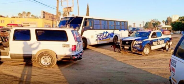 Autobús agrícola atropella a mujer en Ensenada