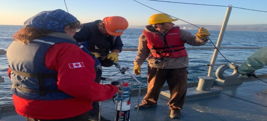Académicos y alumnos de la UABC estudian océano