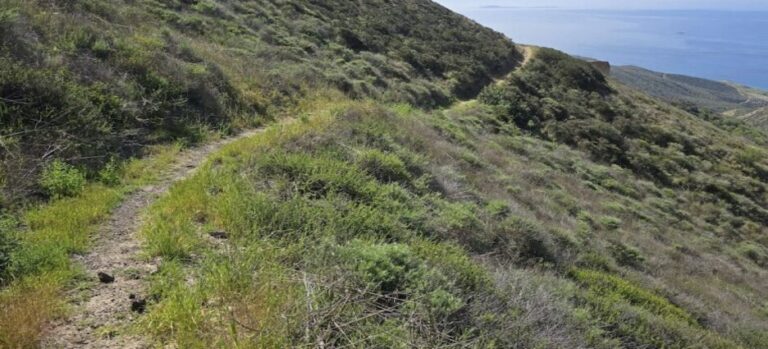 Solicitan reunión para exponer impacto ambiental del bypass en Ensenada