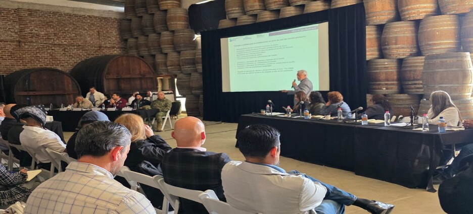 Ensenada se adapta a la nueva era de cruceros