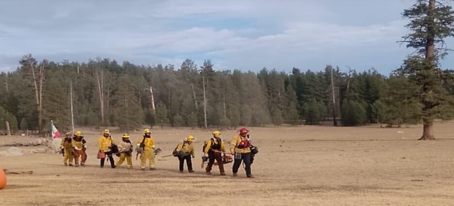 Bomberos de Ensenada mantienen monitoreo del incendio forestal en Parque Nacional Sierra San Pedro Mártir