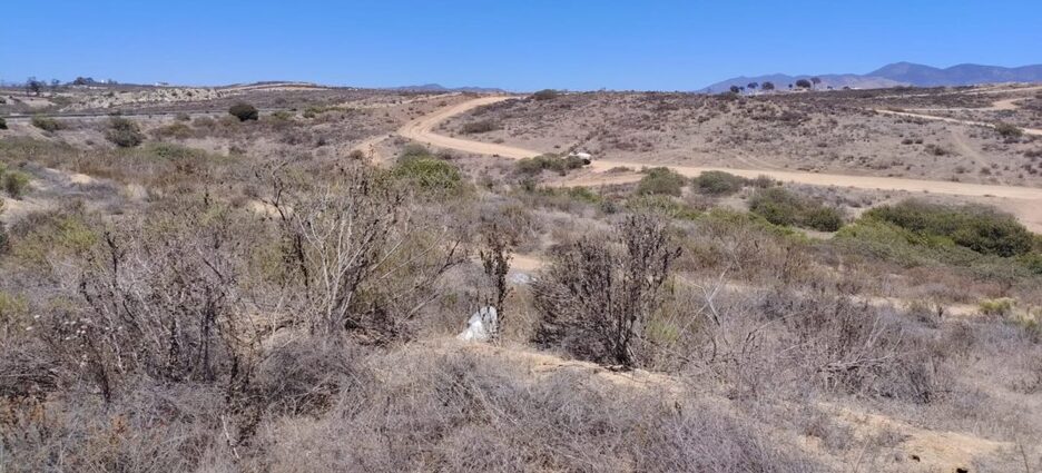 Encuentran restos humanos cerca de carretera a Ojos Negros en Ensenada