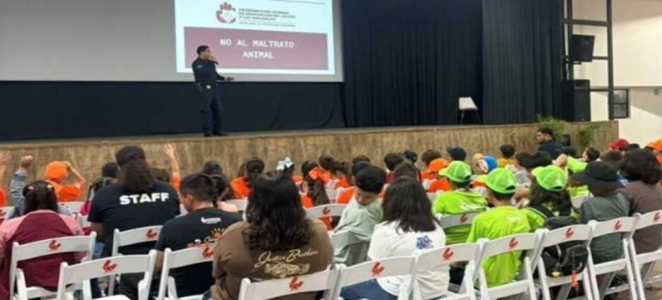 Piden reportar casos de maltrato y abandono animal en Ensenada