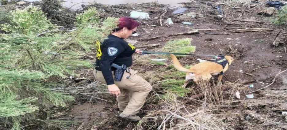 Gobierno de Sonora apoyará con traslados y funerales a la familia de Hermosillo que perdió la vida en Ensenada por la tormenta Rachel